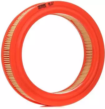 Filtron Luftfilter (AR 213)