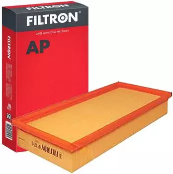 Filtron Luftfilter (AP 187/5)