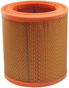 Filtron Luftfilter (AR 253)