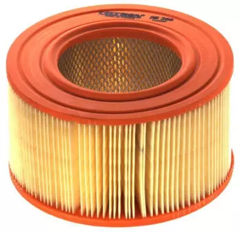 Filtron Luftfilter (AR 266)