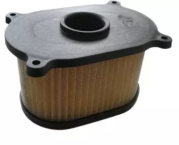 Meiwa Luftfilter Hyosung GT/GV (HY19100)