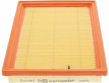 Champion CAF100810P