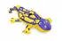 Bestway Salamander 191 x 119 cm (41502)