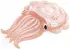 Intex Cuttlefish Float Luftmatratze 191x117x30cm (58731EU)