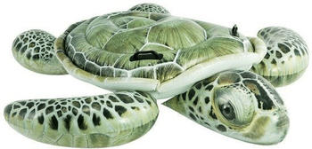 Intex Schildkröte (57555)