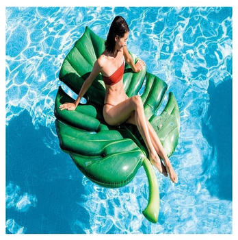 Intex Pools Leaf (58782)