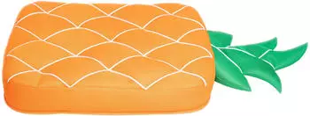 Westmann Pool Buddy Ananas orange