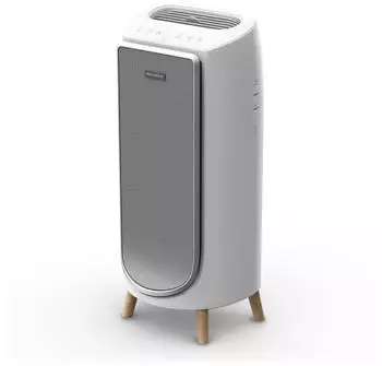 Rowenta Intense Pure Air PU6180