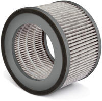 68106 Airfresh Clean 300 Ersatz-filter Grau - Soehnle