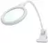 Showlite LL-3036D Tisch-Lupenleuchte 3 Dioptrien 6W (00056989)