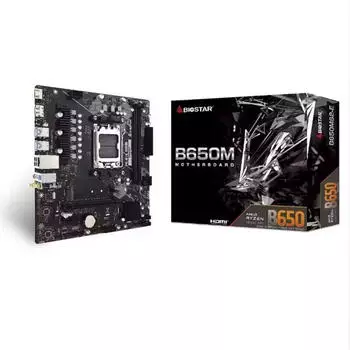 Biostar B650MS2-E