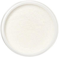 Lily Lolo Finishing Powder Fixierpuder Farbton Translucent Silk 4,5 g