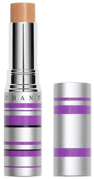 Chantecaille Real Skin+ Eye and Face Stick (4g) #6