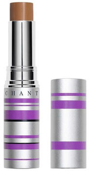 Chantecaille Real Skin+ Eye and Face Stick (4g) #9