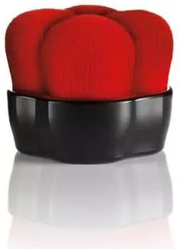 Shiseido Hanatsubaki Hake Brush