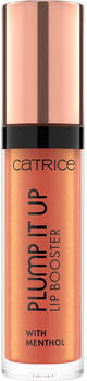 Catrice Plump It Up Lip Booster 070 (3,5ml)