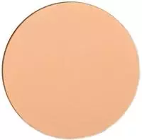 Shiseido Expert Sun Protector UV Protective Compact Foundation SPF30 Wasserfestes,
