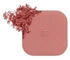 Dolce & Gabbana Cheeks&Eyes Match Blush 01 Blissful Mauve (8g)