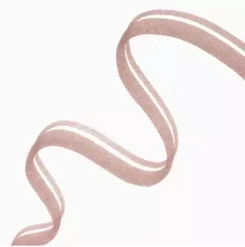 Catrice Precision Ink Lip Liner Stain