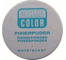 Kryolan Fixierpuder in Transparent 60g, Farbton: TL4