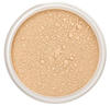 Lily Lolo Make-Up