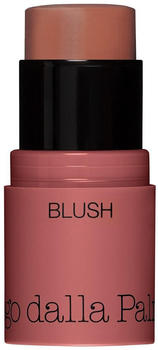 Diego dalla Palma All in One Blush (4g) 44