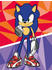 Ravensburger Malen nach Zahlen Classic Serie Character Sonic New Yoke City (23636)