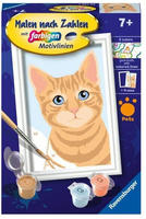 RAVENSBURGER 23756, RAVENSBURGER 23756 Malen nach Zahlen - Niedliche Katze