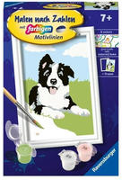 RAVENSBURGER 23759, RAVENSBURGER 23759 Malen nach Zahlen - Border Collie Welpe