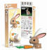 hase