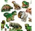 SES Creative Kretiv-Set Dinowelt Gießen und anmalen (01403)