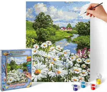 Schipper Meadow with daisies (609240899)