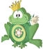 Ursus Laternen-Bastelset rund Frosch (18700035)