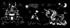 Ursus Silhouetten-Laterne Einhorn (18750001)