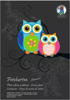 Ursus 10 x Fotokarton Sonderedition 300g/qm A4 VE=10 Blatt 10 Farben sortiert