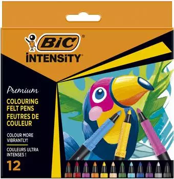 BIC Intensity Premium Filzstifte, 12er-Set (977891)