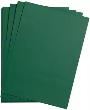 Clairefontaine Maya Bastelkarton antikgr&uuml;n 50x70cm 185g, 25 Bogen (975479C)