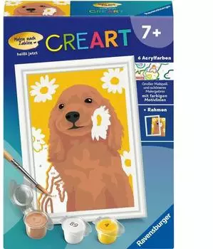 Ravensburger CreArt Malen nach Zahlen Kinder - Cocker Spaniel Sunny
