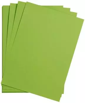 Clairefontaine Maya Bastelkarton A2 185g/m&sup2; moosgr&uuml;n, 25 Bogen (975552C)