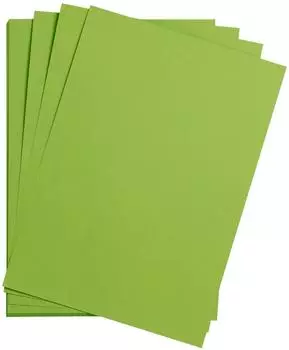 Clairefontaine Maya Bastelkarton 185g/m&sup2; 50x70cm moosgr&uuml;n, 25 Bogen (975452C)