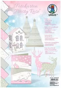 Ursus Fotokarton Frosty Rose DIN A4 300g/m&sup2; 9 Blatt (11384699)