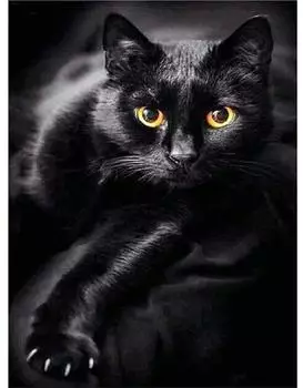 Pracht Creatives Hobby Pracht Diamond Painting Schwarze Katze (Design 25x35cm)