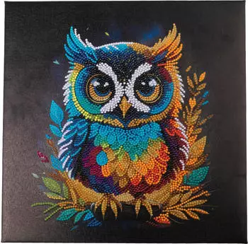Craft Buddy Crystal Art Diamond Painting Eule 30 x 30 cm