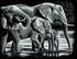 Mammut Spiel & Geschenk Scraper Kratzbild ohne Rahmen silber quer - Elefanten