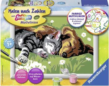 Ravensburger Malen nach Zahlen Tiefer Schlaf