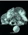 Mammut Spiel & Geschenk Scraper Kratzbild Silber Mini Katze & Hund
