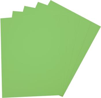 Folia Moosgummi Bogen hellgrün