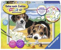 Ravensburger Malen nach Zahlen "Jack Russel Welpen" Made in Europe
