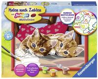 Ravensburger Malen nach Zahlen "Zwei Schmusek&auml;tzchen" Made in Europe