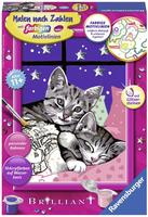 Ravensburger 27995 Malen-nach-Zahlen CreArt, ab 11 Jahre, Schlafende Katzen, mit